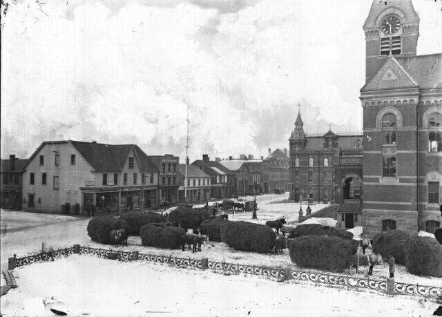 Queen Street-Phoenix Square from the Normal School, ca. 1880